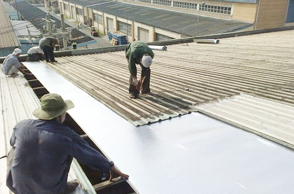 kiểm tra mái tôn nhà xưởng Hải Phòng